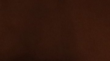 Elsa se convierte en el primer Meme del 2020.