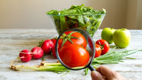 contaminantes químicos alimentos