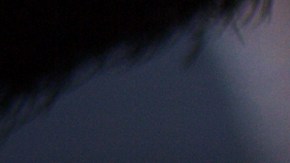 Es lo más romántico que verás en el día.