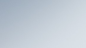 limpieza dental
