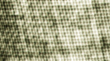 Le dijeron que así resolvería sus problemas de dinero.