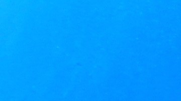 El mar es de los más afectados.