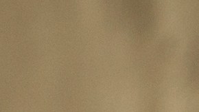 shutterstock_620932439