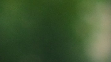 Algunos generadores nuevos cuentan con un sensor incorporado que activa un apagado automático si el gas se acumula a niveles peligrosos.