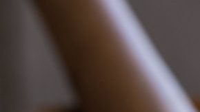 hierba cola de caballo