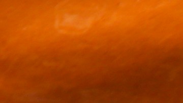 Joao Sousa fue encontrado culpable de arreglo de partidos en la gira ATP.