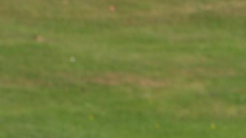 sportscar-17583_1920