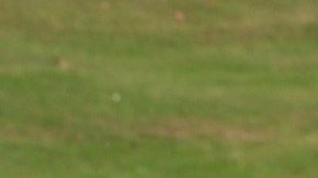 sportscar-17583_1920