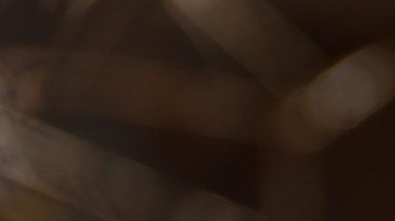 El hombre salió huyendo del lugar.