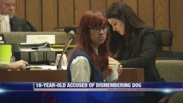 Adolescente asesina al perro de su abuela / Captura de pantalla Fox News.