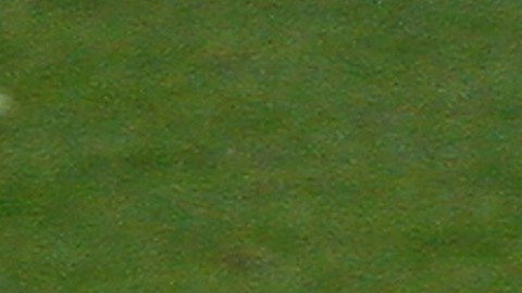 Eli Manning