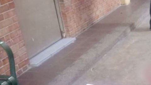 Tragedia con escuela mexicana.