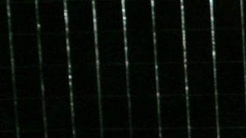 ultimo mensjae kobe bryant a vanessa