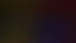 El video fue compartido por la cuenta oficial del equipo holandés.