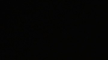 Usain Bolt espera su primer hijo