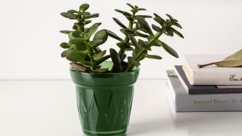 Veladora Väldoft  / Cortesía: Inter IKEA Systems B.V.