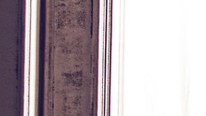 Varias personas en internet comentaron que esta acción fue de mal gusto.