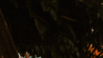 Viajes en pareja baratos, San Miguel de Allende / Créditos: Fotógrafo Ferrantraite / iStock