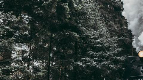 Por qué viajar en tren es más caro / Créditos: Fotógrafo Patrick Laszio vía Unsplash