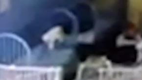 Dos trabajadores respondieron rápido para levantarla.