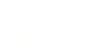 VIDEO: Halcón del Cártel del Golfo así avisa de la presencia demilitares cerca de la frontera