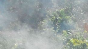 VIDEO: Jovencito relata cómo narcos lo secuestraron y esclavizaron para sembrar amapola