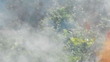 VIDEO: Jovencito relata cómo narcos lo secuestraron y esclavizaron para sembrar amapola