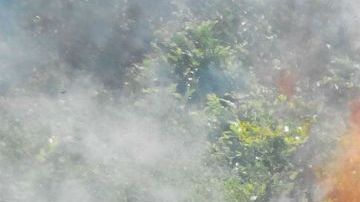 VIDEO: Jovencito relata cómo narcos lo secuestraron y esclavizaron para sembrar amapola