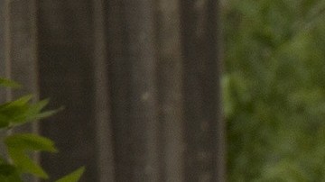 Los padres ya habrían tenido un romance en su juventud.