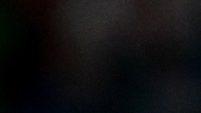 Timo Werner, actual goleador de la Bundesliga.