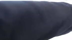 El youtuber grabó toda la persecución con una cámara GoPro.