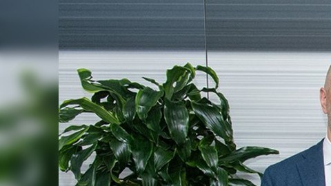 Zlatan firmará contrato por seis meses con opción a extenderlo una temporada más.