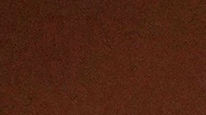 44 estadounidense que estaban en la misma embarcación también dieron positivo por COVID-19