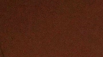 44 estadounidense que estaban en la misma embarcación también dieron positivo por COVID-19