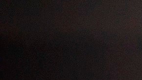 El aparato del partido demócrata podría evitar que Sanders sea su candidato.