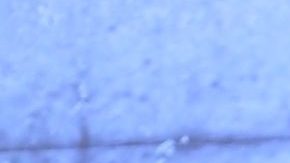 Galilea Montijo | Mezcalent.