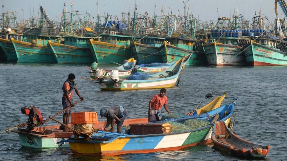 Unos 150,000 pescadores viven cerca de la costa de la India en el golfo de Mannar.