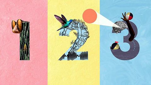 111066253_calm-arriba