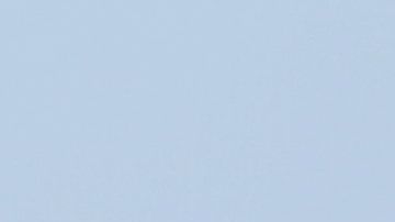 United Airlines ha informado que un gran porcentaje de sus empleados se ha vacunado.