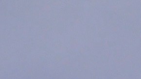 Trump y Pence participan en el informe sobre el coronavirus en EEUU.