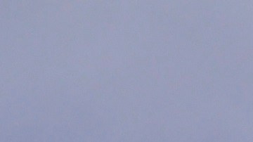 Trump y Pence participan en el informe sobre el coronavirus en EEUU.