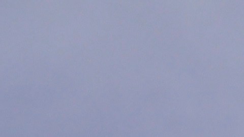 Trump y Pence participan en el informe sobre el coronavirus en EEUU.