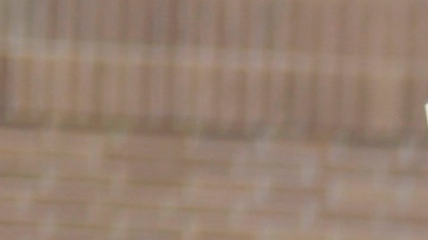 Las últimas encuestas señalan a Sanders como ganador en Iowa y Nuevo Hampshire.