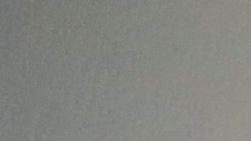 La vacuna para prevenir el coronavirus podría demorarse varios meses.