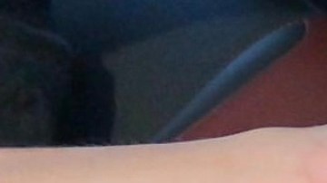 Aline Palla Acosta tenía 27 años y residía en el sur de la Florida.