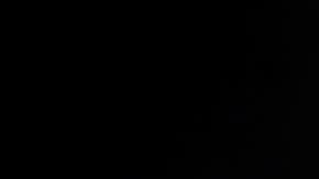 Adam Levine en Viña del Mar.