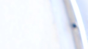 CBP hace un control exahustivo de todos los productos agrícolas que entran a EEUU.