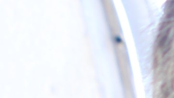 CBP hace un control exahustivo de todos los productos agrícolas que entran a EEUU.