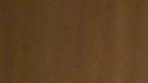 Wolf asegura que no hay otros países tratando de intervenir en la democracia de EEUU.