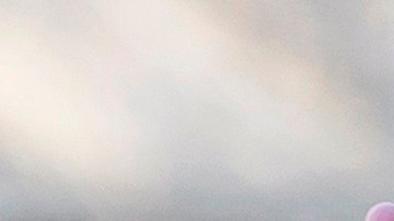 Stone está acusado de obstruir al Congreso durante la investigación sobre la injerencia rusa.